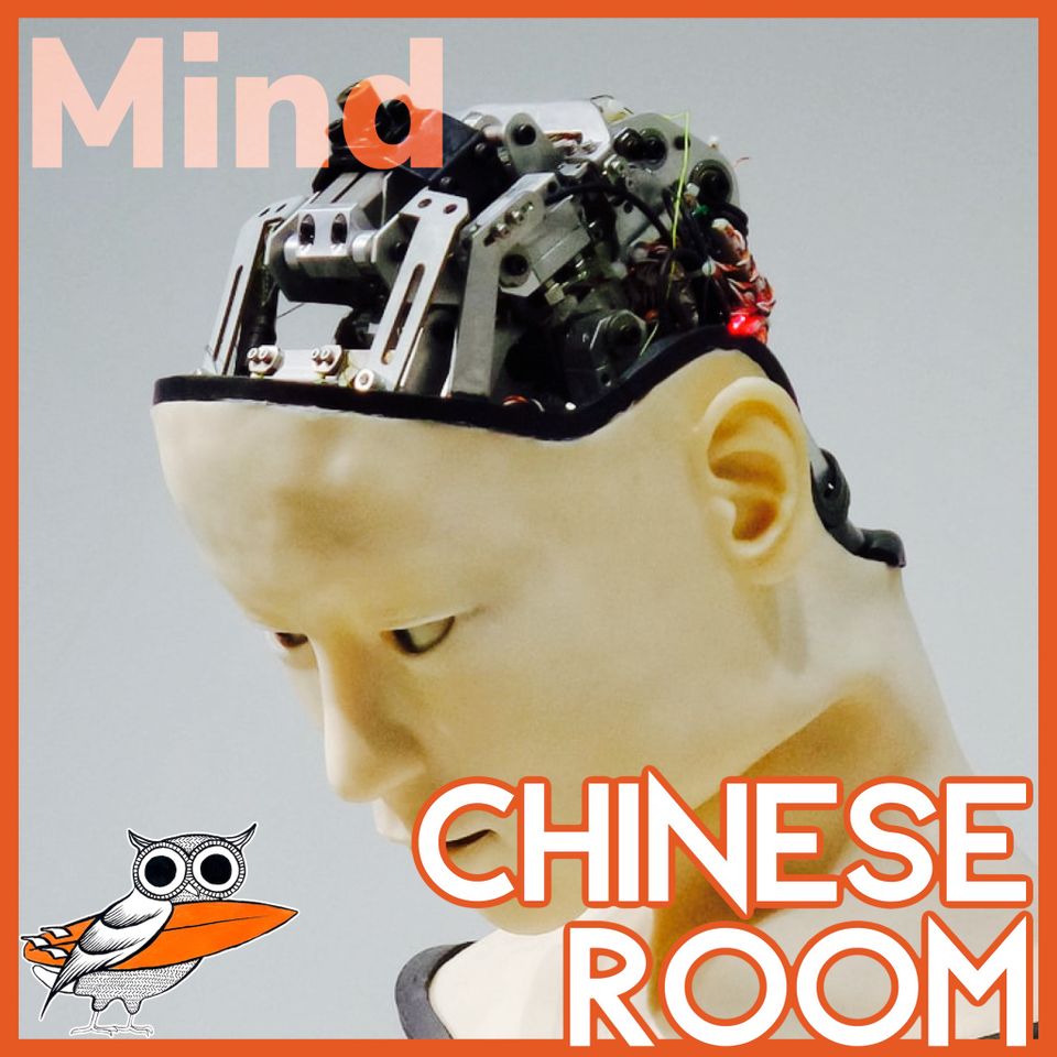 The Chinese Room Argument