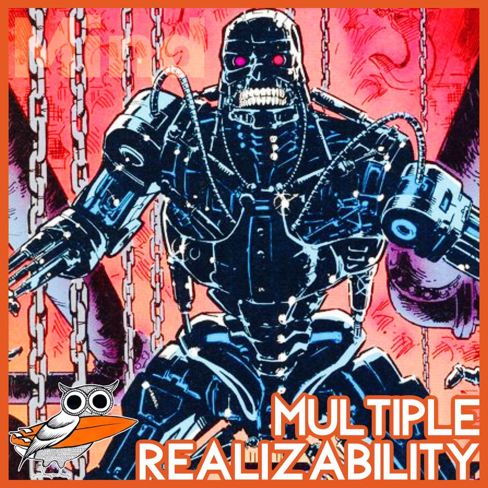 Multiple Realizability Argument