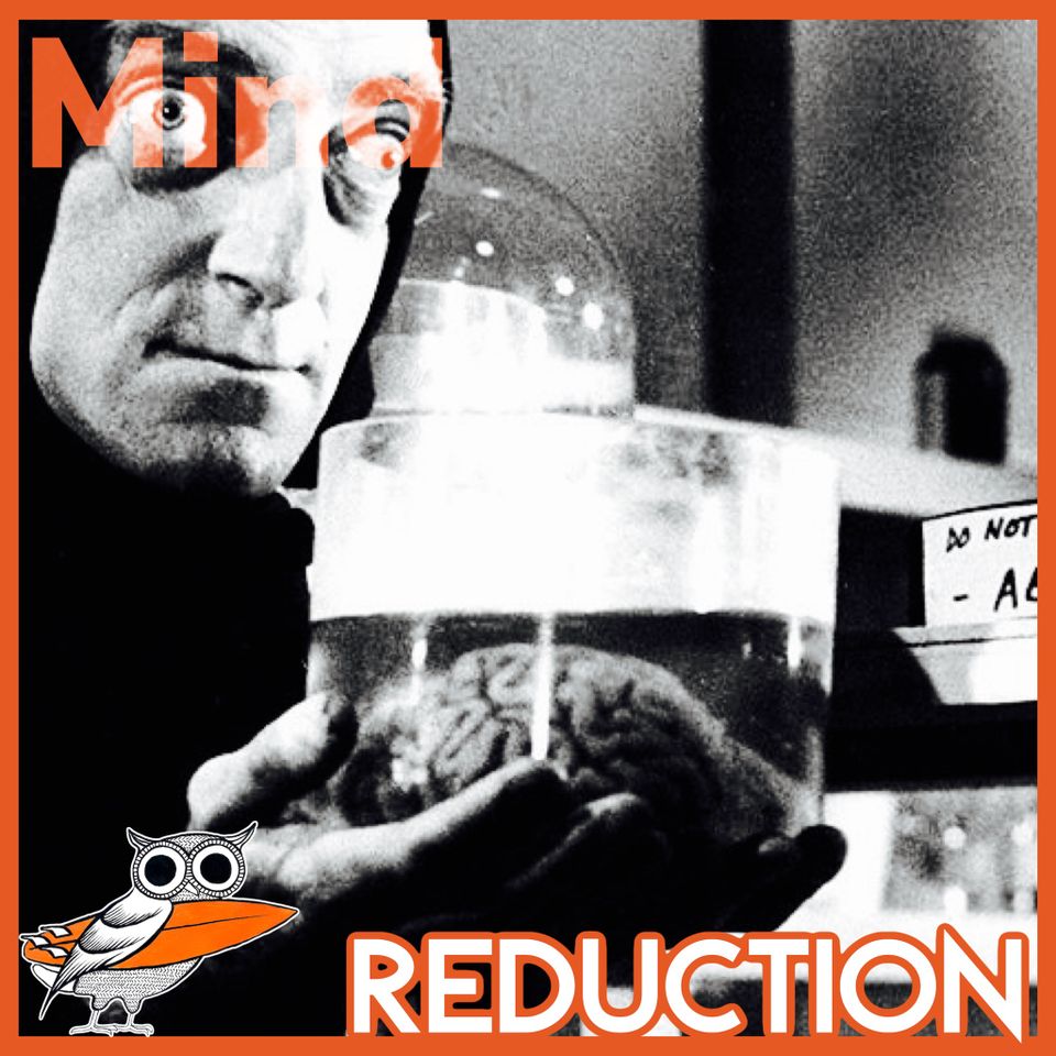 Are thoughts just neurons? Mind→Brain Reduction
