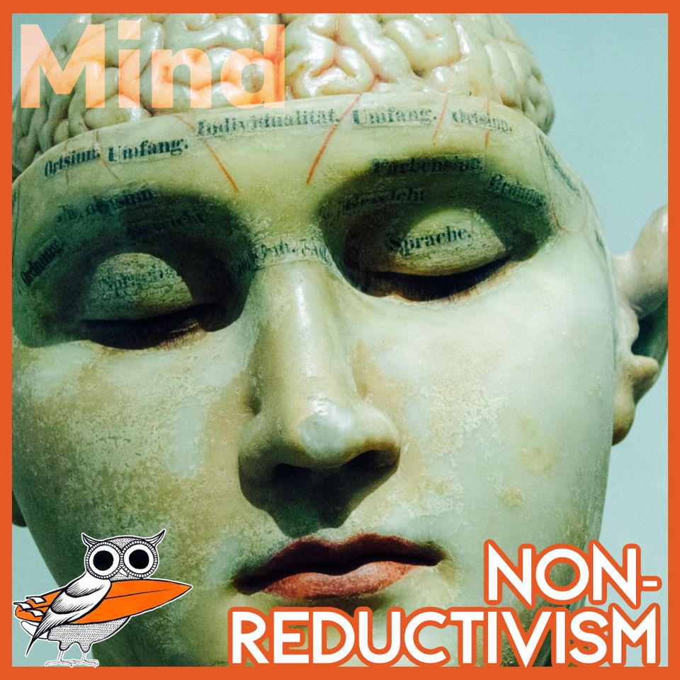 Non-reducibility: Is talk about the mind irreducible?