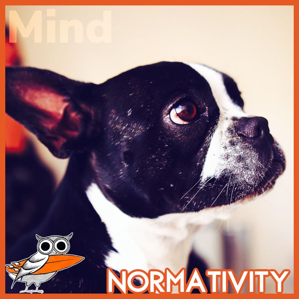 Normativity Objection: Do moral and epistemic norms prove materialism is false?