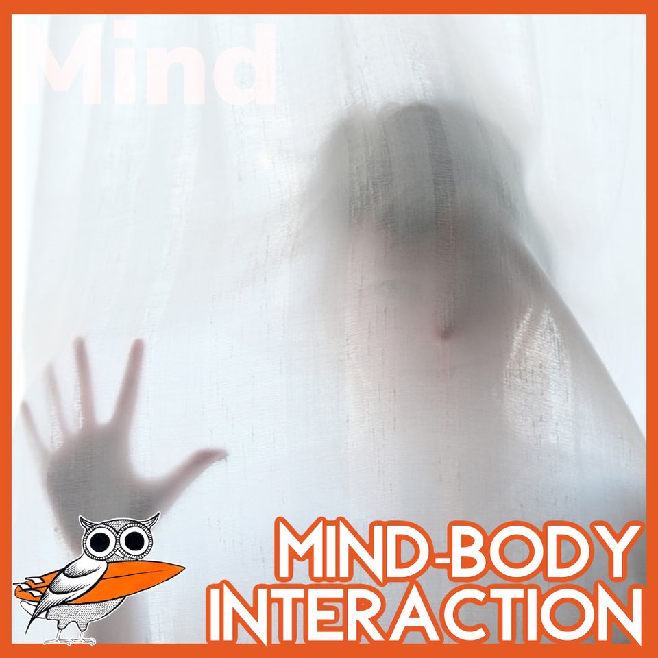 The Mind-Body Interaction Problem