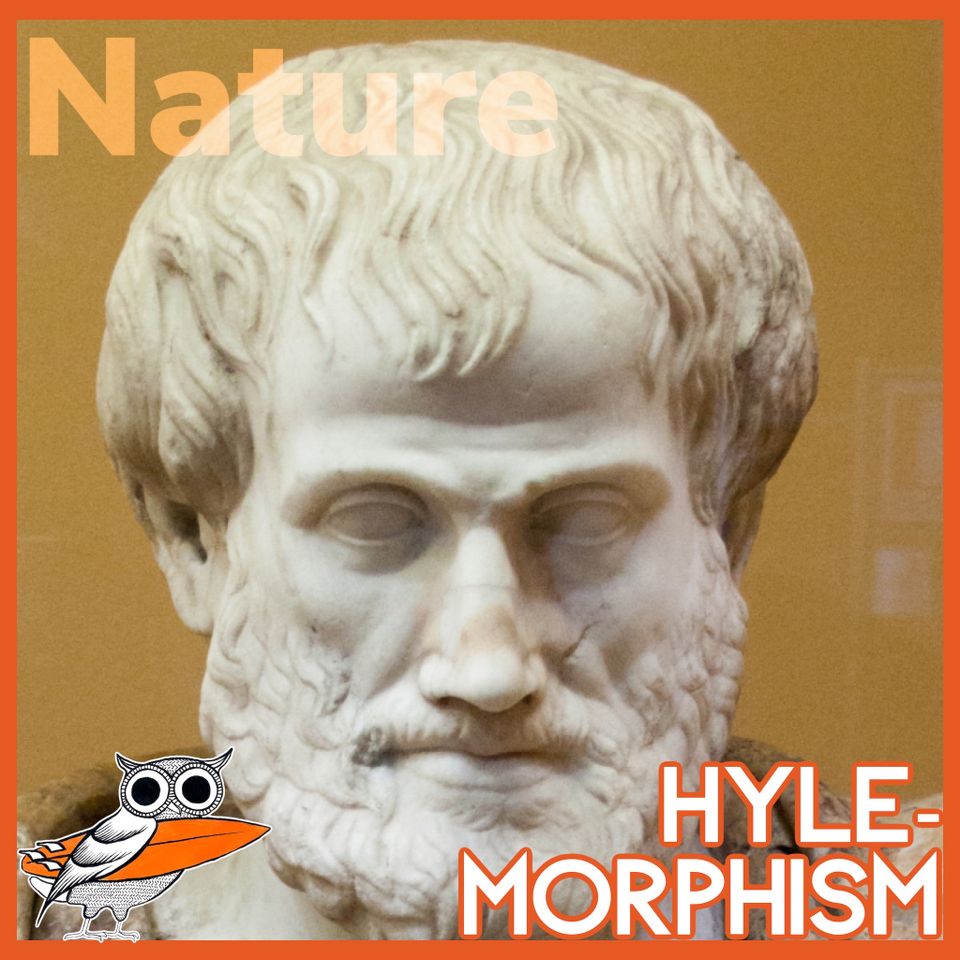 What is hylemorphism?