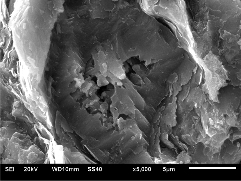 Evolution of intragranular pores in potassium niobate ceramics during sintering