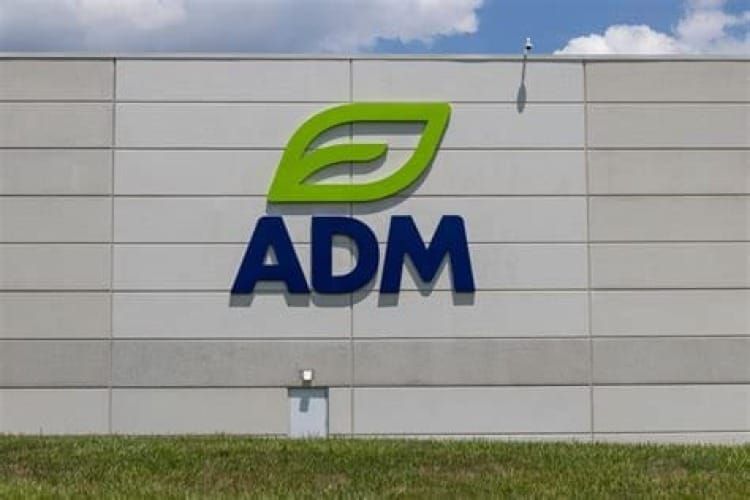 Here's What to Expect From Archer-Daniels-Midland's Next Earnings Report