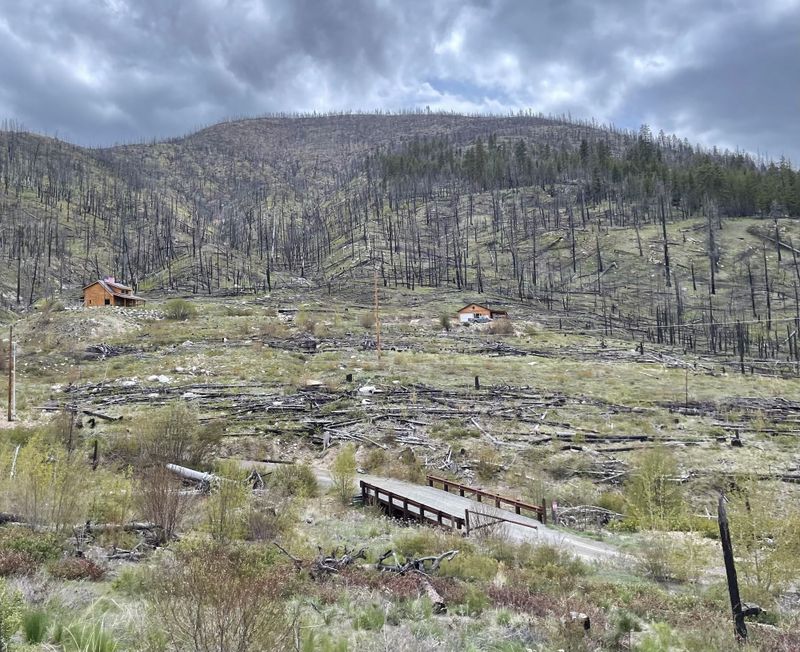 Can Collaboration Save Our Federal Forests?