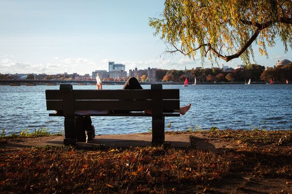 The Image Holds Still. Everything Else Moves.