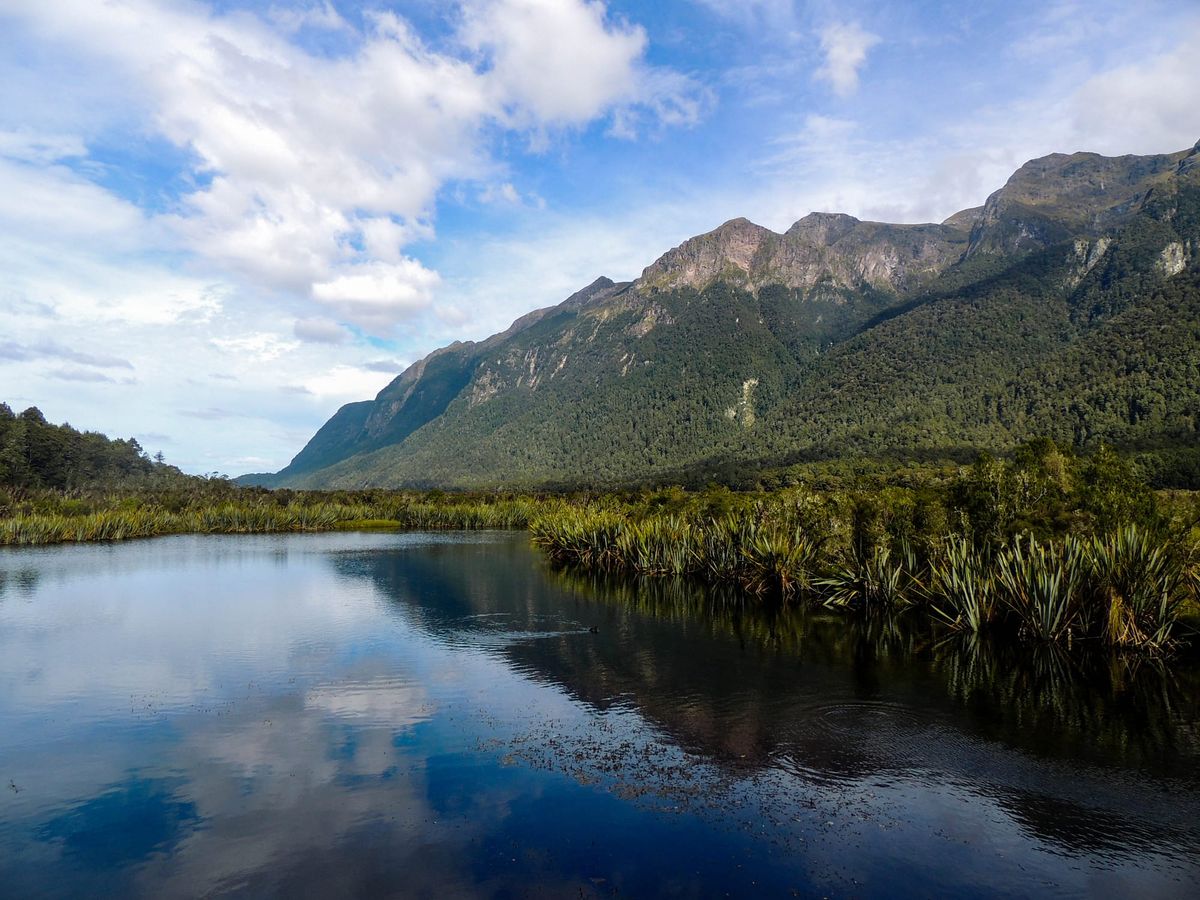 New Zealand