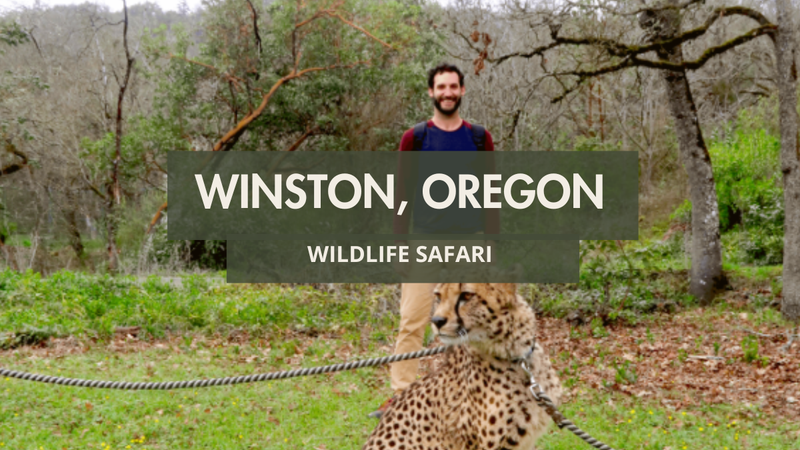An Epic Day at the Wildlife Safari in Winston, Oregon