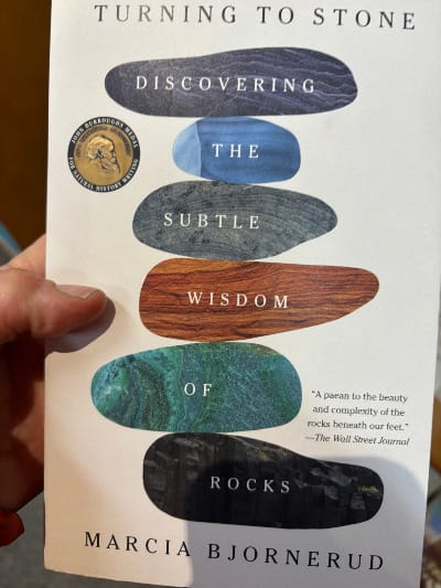 Marcia Bjornerud's book, "Turning to Stone: Discovering the Subtle Wisdom of Rocks"