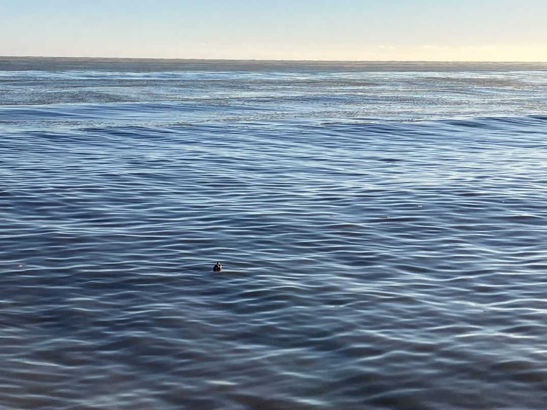 On the Great Lakes and Lost Waterways