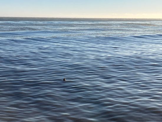 Image of: On the Great Lakes and Lost Waterways