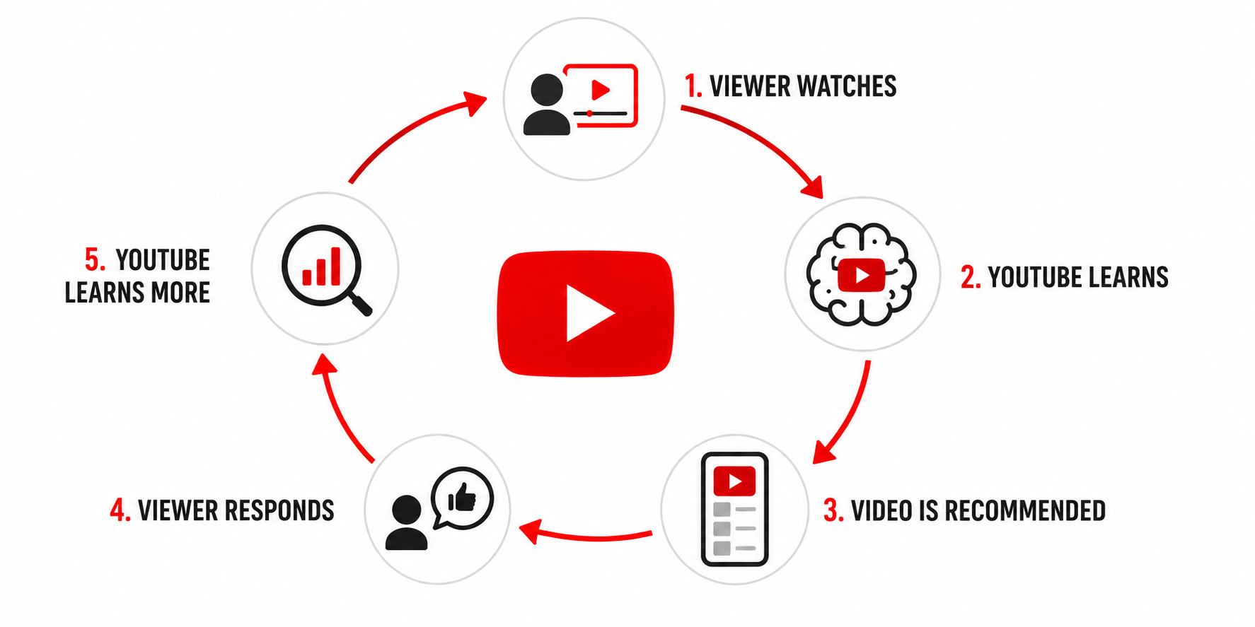 The YouTube Discovery Loop