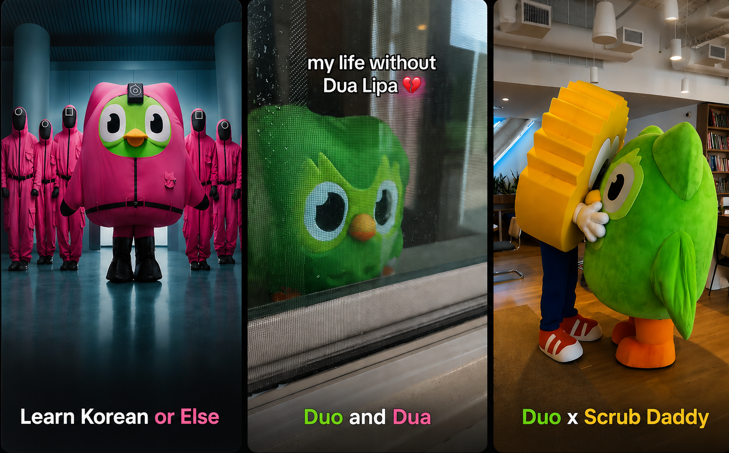Duolingo's Campaigns