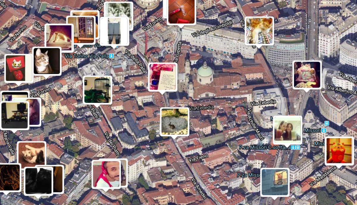 So dove vive il tuo gatto (e non solo).