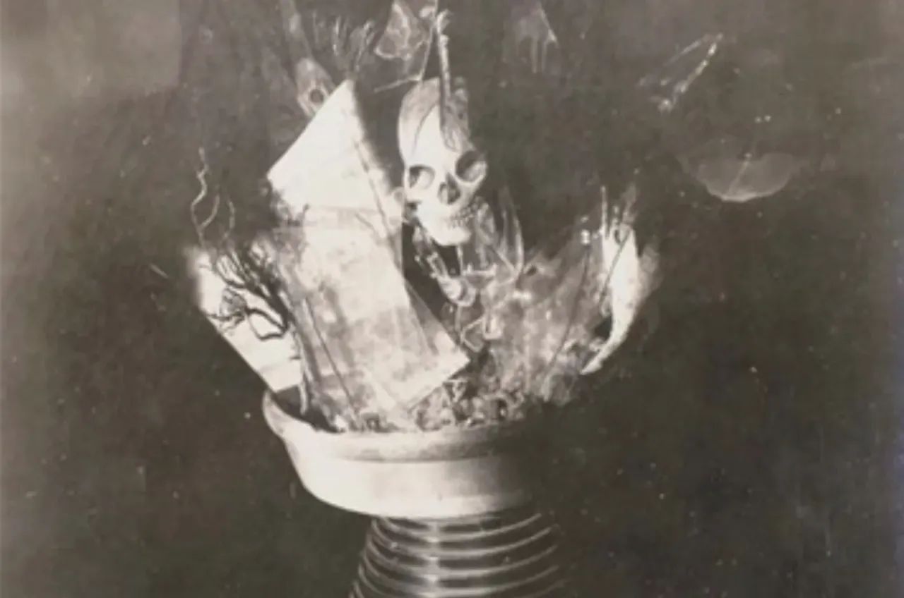 vintage photo of an assemblage of twigs, leaves, papers, and a skull
