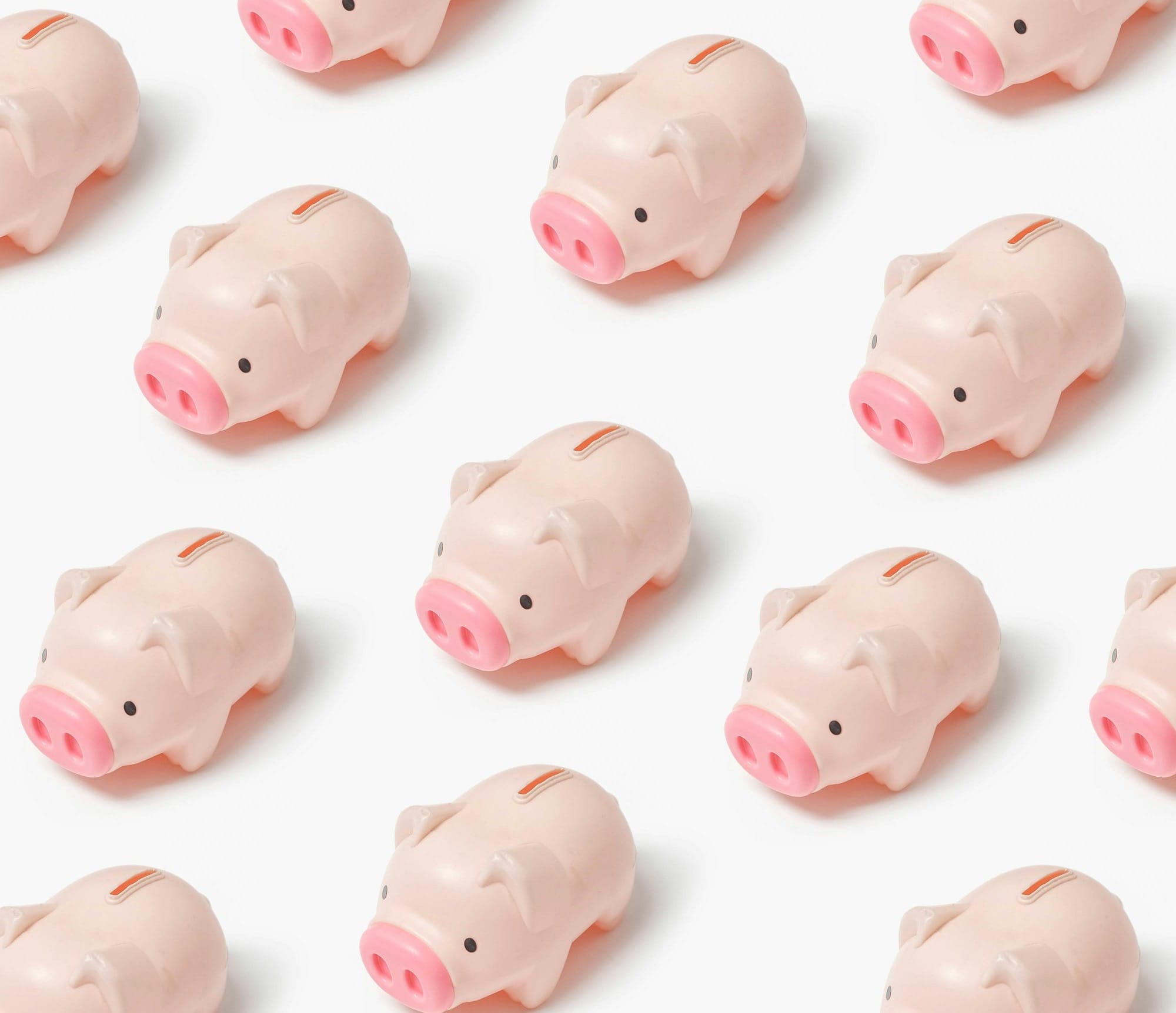 a group of small pink pigs sitting next to each other