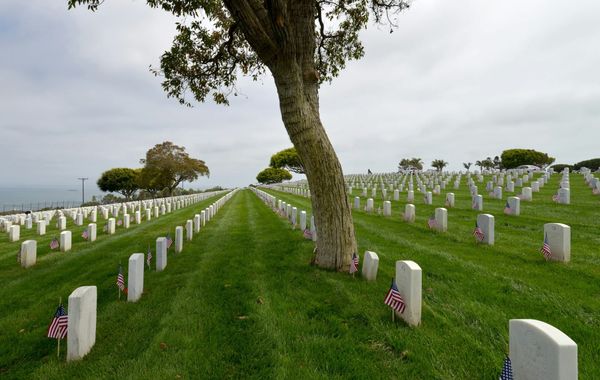 Memorial Day: Remembering the Sacrifice Behind America's Freedom