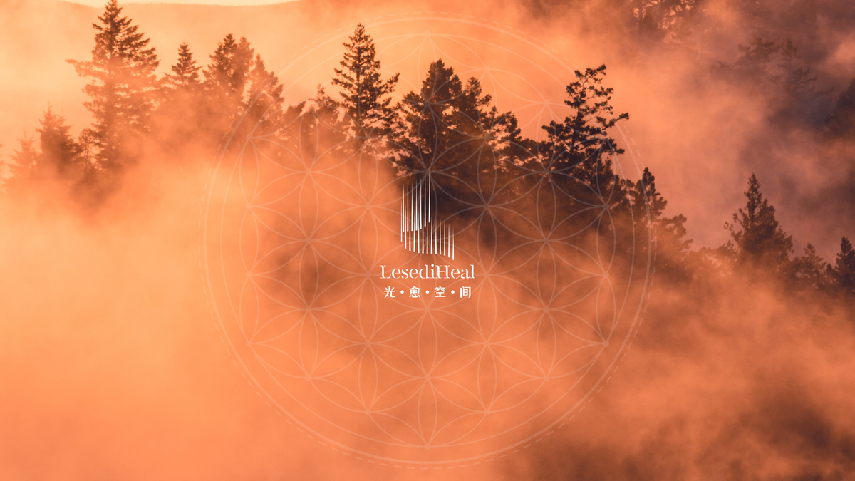 会员登入 | Sign In