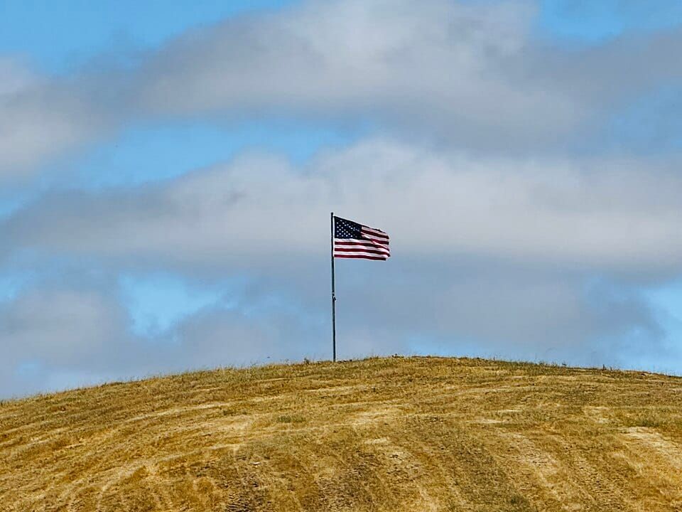 What I want for my country