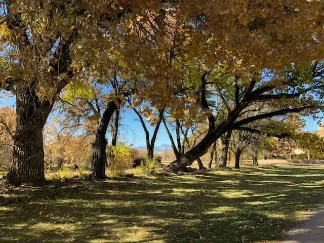 Take a deep breath and get ready for the fall