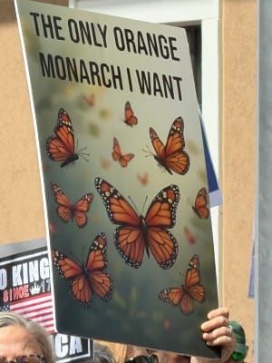 No Kings #3: Pictures & Reflections