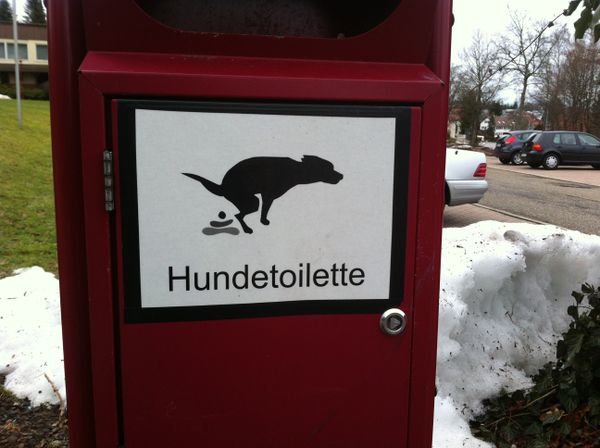 Nur wer richtig zielt, kann auch was treffen