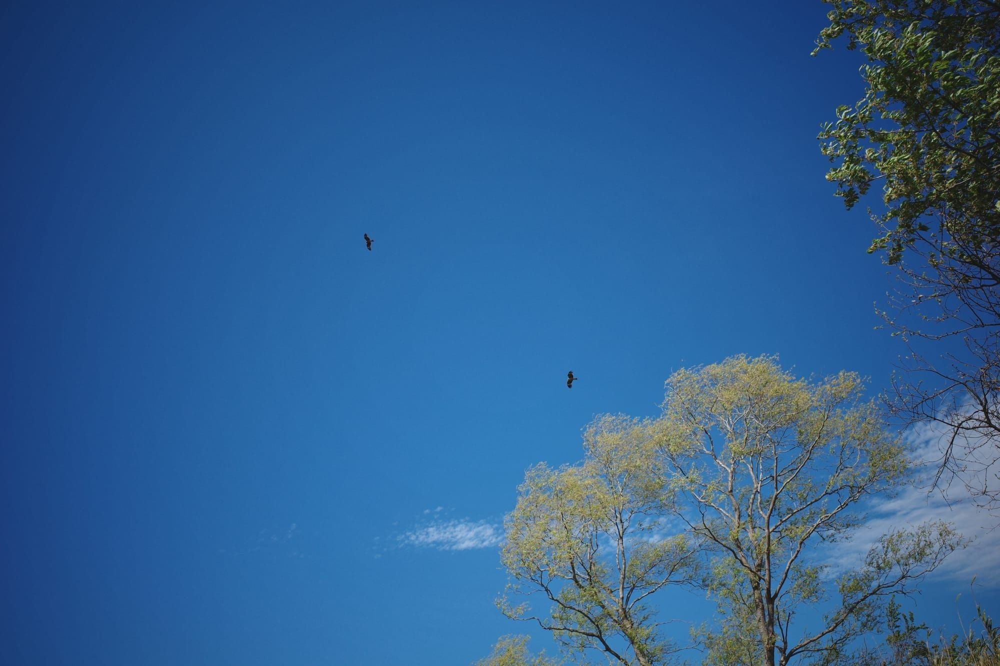 プロジェクトによせて