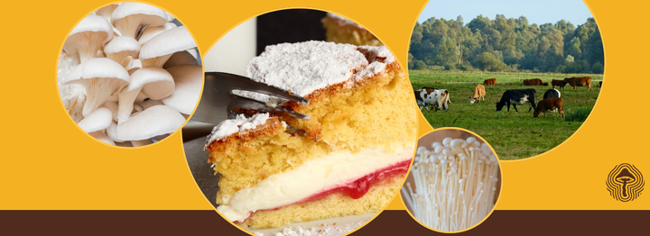 Shroom Scan #112: Psilocybin hits women differently, maitake boosts chemo, and oyster mushrooms cut methane 60%