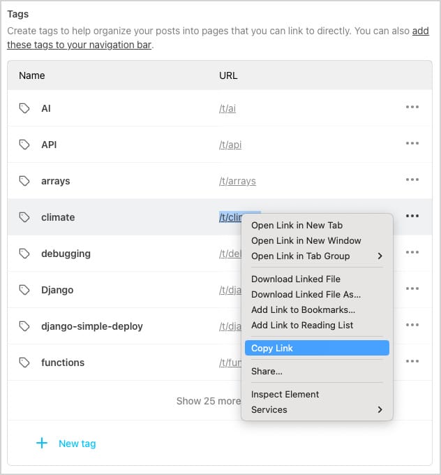 screenshot of the Tags subsection from the Website section of a publication's overall Settings page