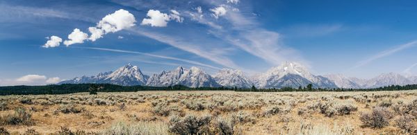 It's your job to keep AI at arm's length