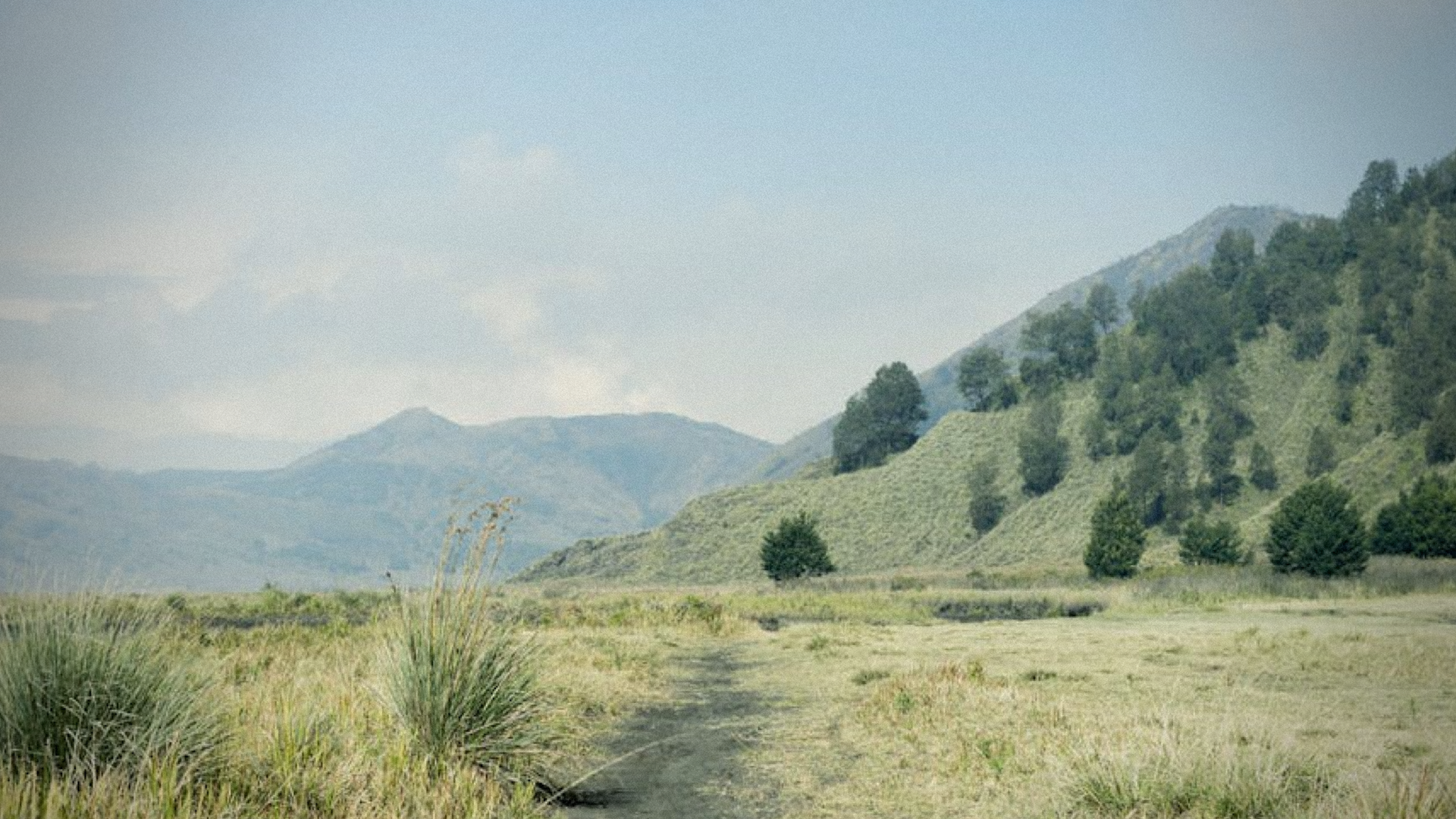 Formation by FaithOnline