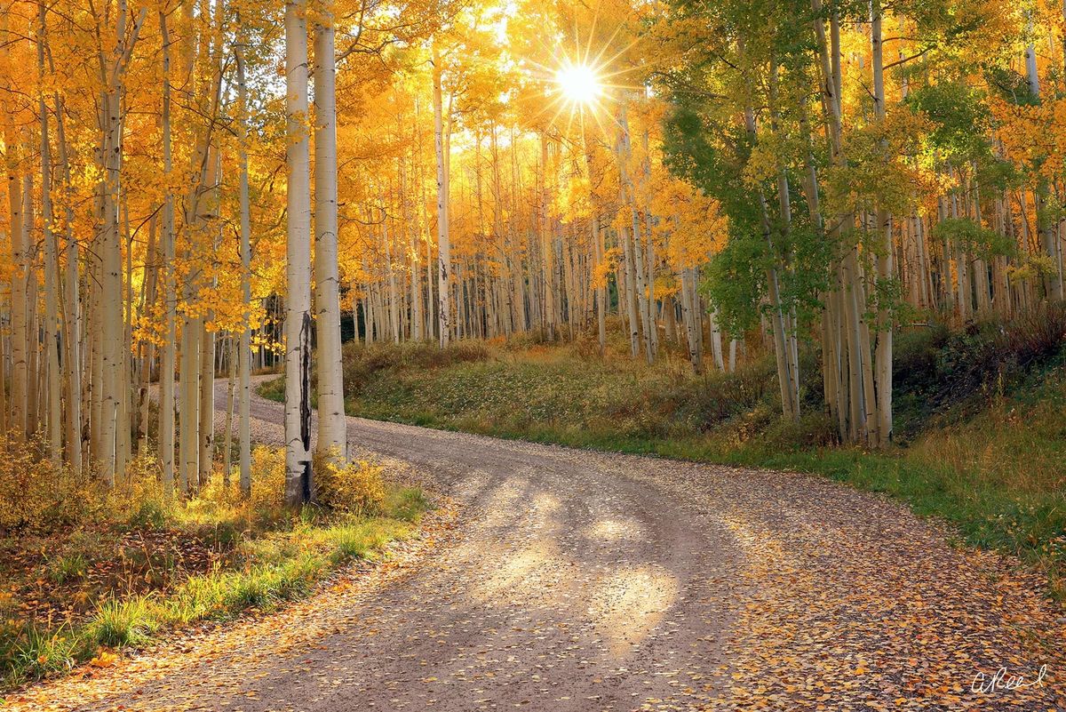 Everything is Made Beautiful in It’s Time