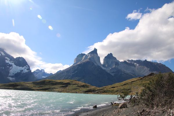 La Patagonia - Chile