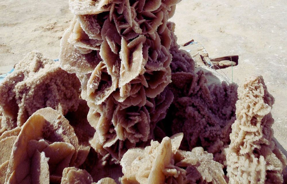 Tunisian desert rose by Laura Peña.