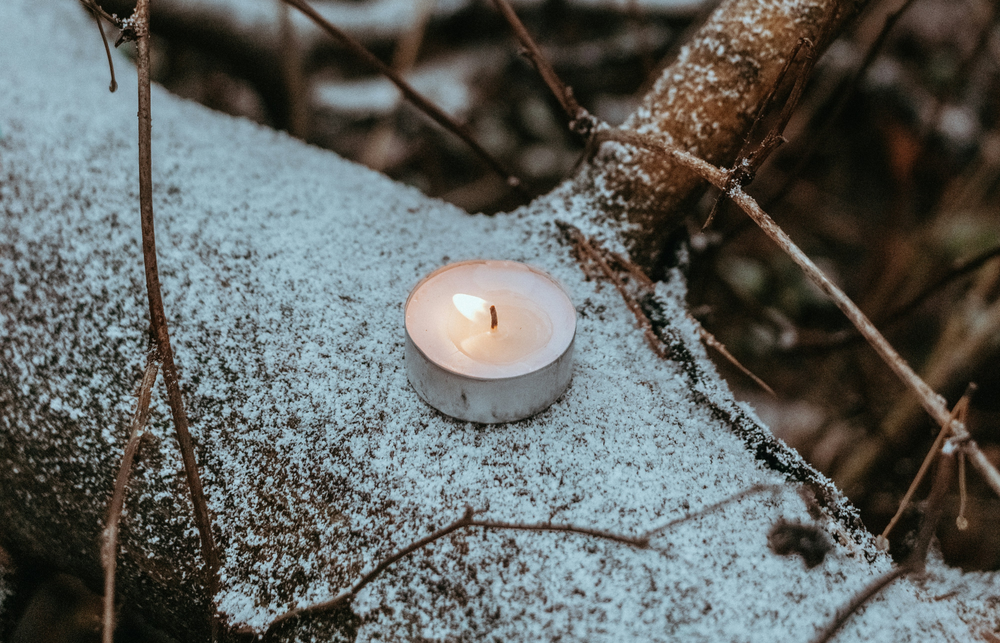 A small candle on a snow dusted tree branch, burning in the winter light. 