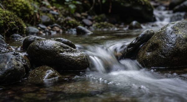 Flowing mountain stream bending around stones, illustrating the Taoist principle of water and effortless action.