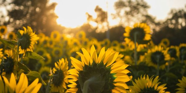 멀시핸즈 매일묵상 💜 "예수님만 바라보자"