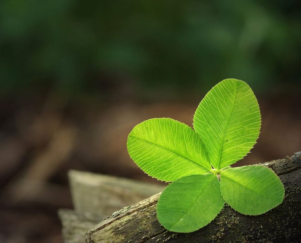 4 Ways to Divide Your Time and Make the Most of It