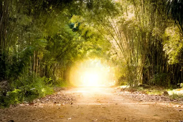 The Road Built for Your Feet