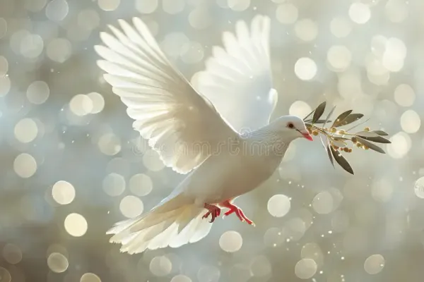 Where Did the Dove Find Peace?