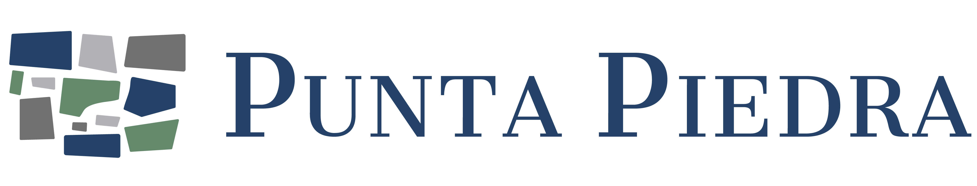 Punta Piedra