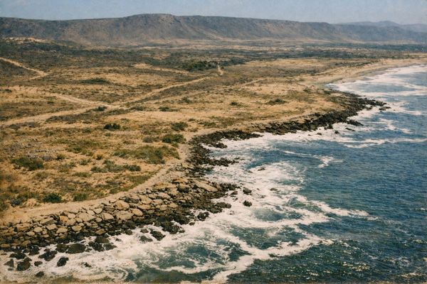 The History of Punta Piedra