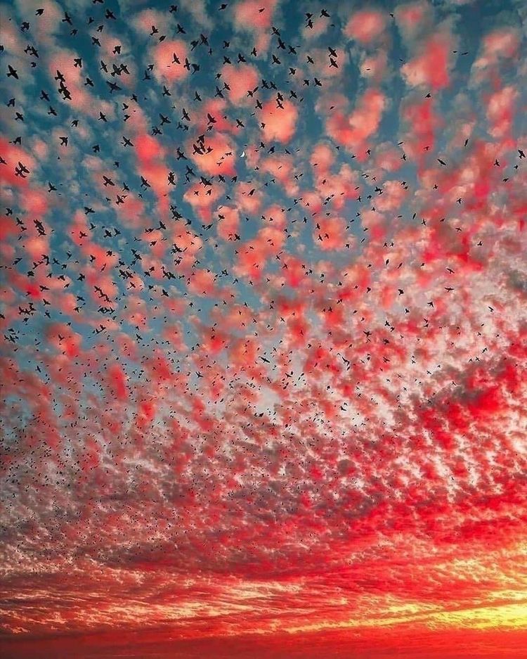 Relax, Breathe, and Let Life Happen