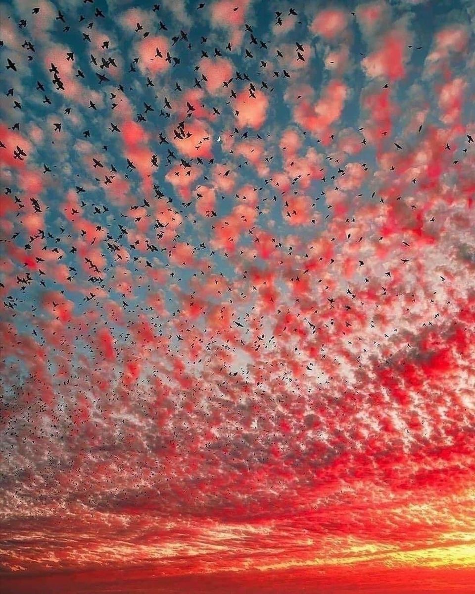 Relax, Breathe, and Let Life Happen