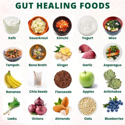 Gut Health: Gut Healing Foods