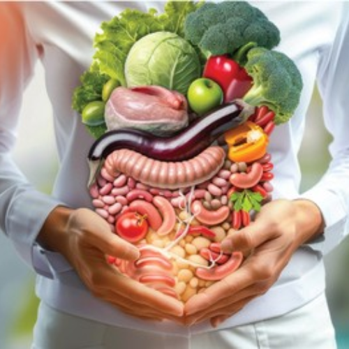 “Gut health improvement through 16/8 intermittent fasting benefits.”