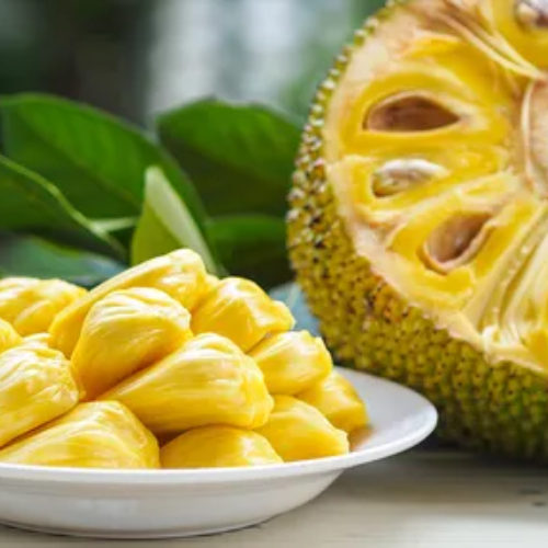 Jackfruit – a high protein fruit aiding weight loss.
