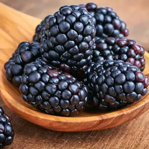 Blackberries rich in protein and antioxidants