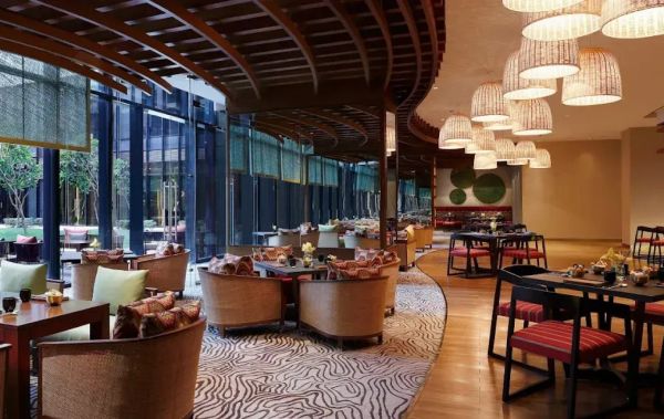 Honk, Pullman, New Delhi Aerocity